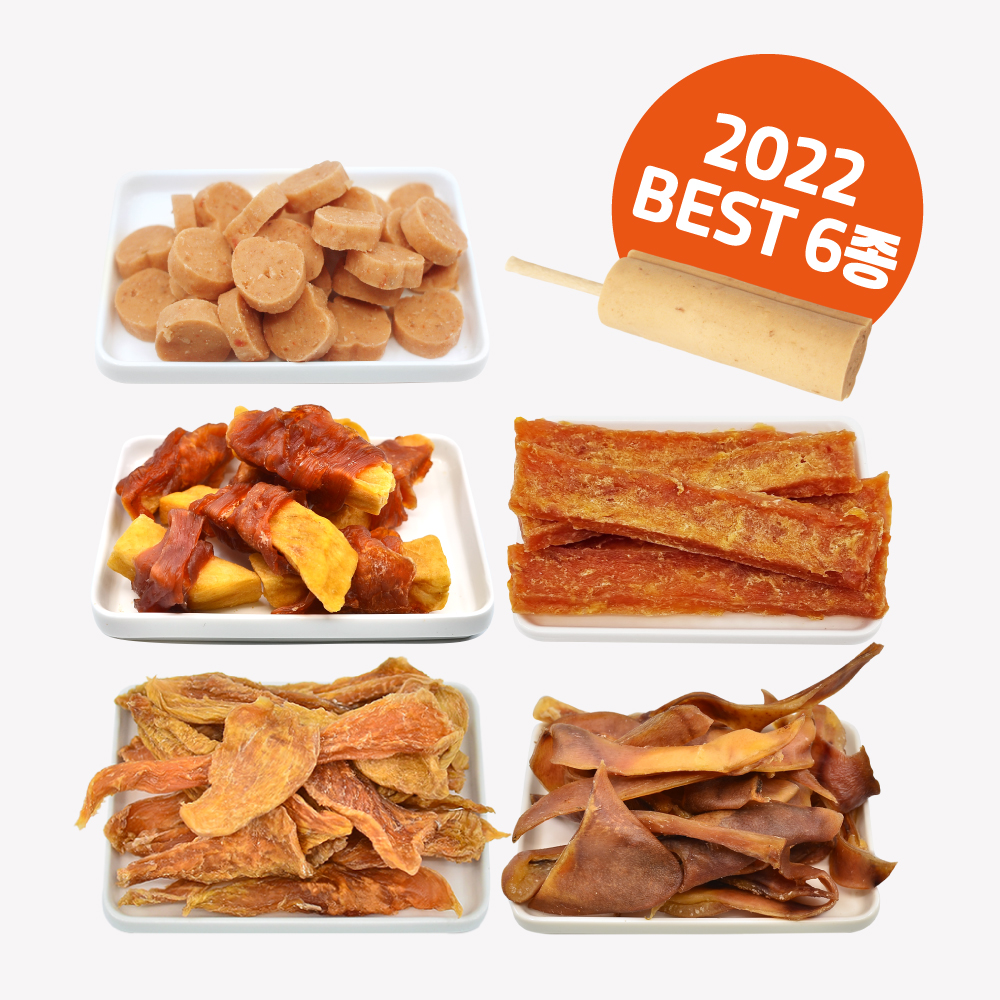 [40%] 2022 Ʈ 6 Ʈ